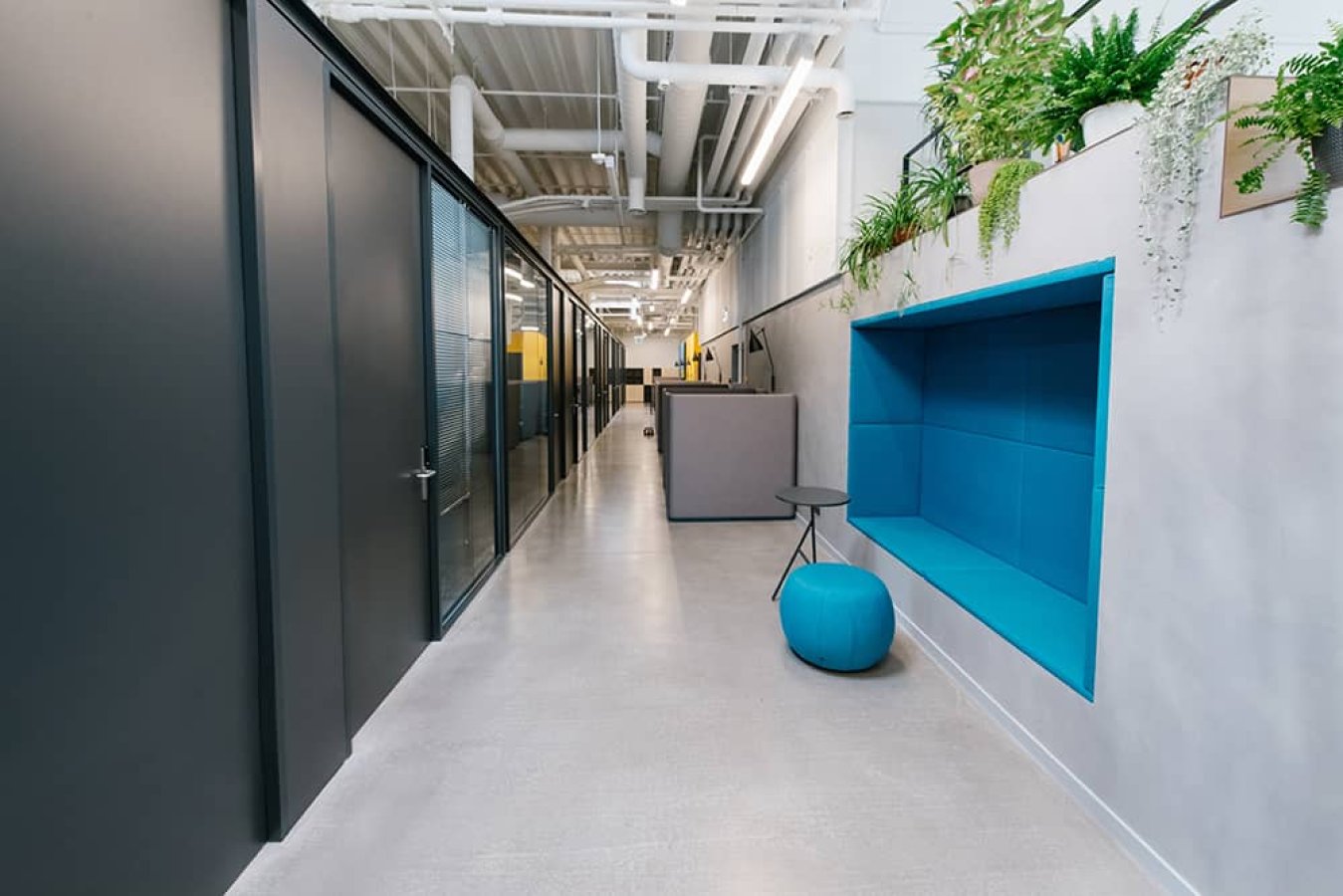 Choosing Colors in Decoration